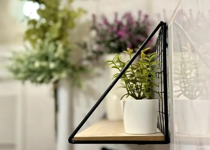 Sweet Spot: & Cozy *