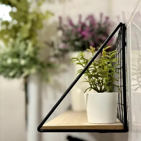 Sweet Spot: & Cozy *